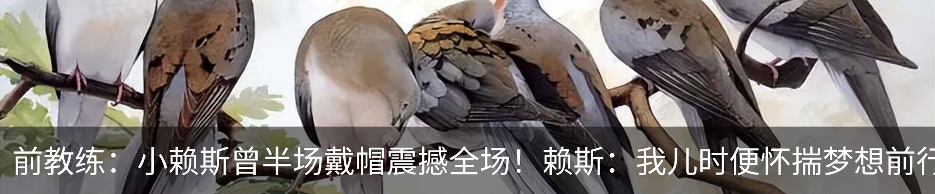 内页banner